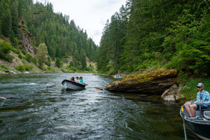 Destination Angler Podcast with Steve Haigh - Smashing Dry Flies on the St Joe River