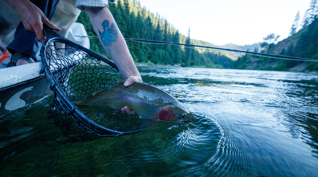 St. Joe River Fly Fishing Reports