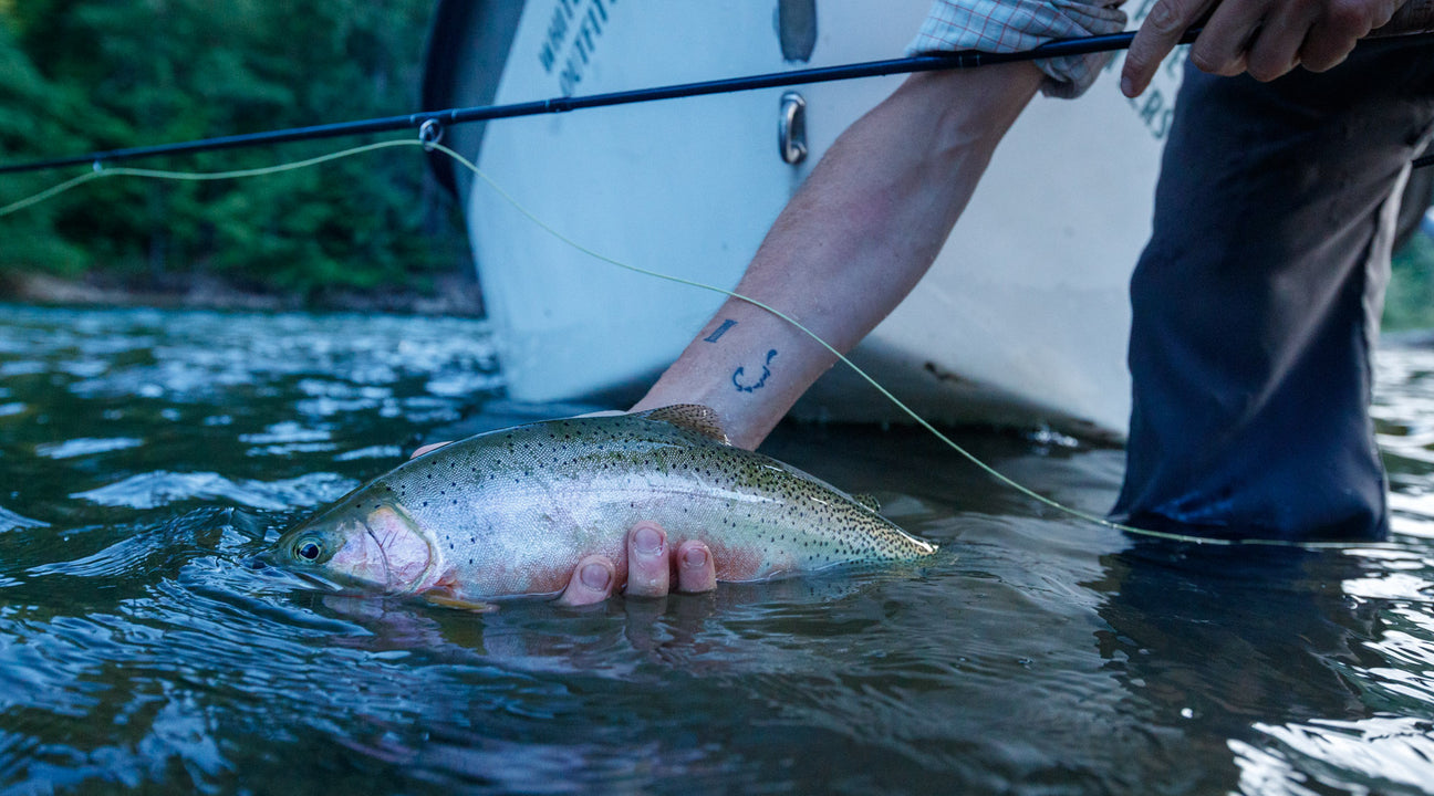 St. Joe River Fly Fishing Reports