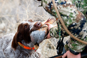 Steelhead Fishing and Chukar Hunting The Salmon River and Hells Canyon with TRAKN Outdoors