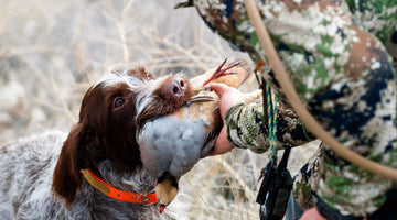 Steelhead Fishing and Chukar Hunting The Salmon River and Hells Canyon with TRAKN Outdoors