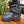 Load image into Gallery viewer, Scarpa Magic Alpine Touring Ski Boots - Blue, Mondo Point 23.5
