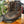 Load image into Gallery viewer, Schnees Beartooth II 0 G Hunting Boots - Brown, Mens 8.5
