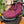 Load image into Gallery viewer, Merrell Bravada Knit Bluff PLR WP Hiking Snow Boots - Pink, Womens 10
